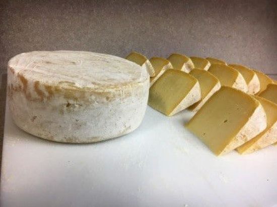 Tilsit Cheese