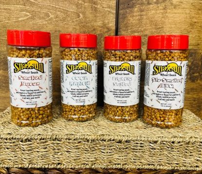 Snacksun Travel Jars 2025