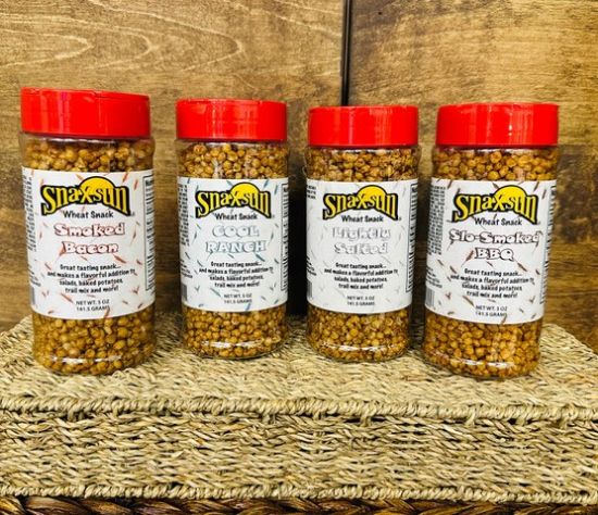 Snacksun Travel Jars 2025