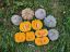 Autumn Prairie Pumpkin's Chinese Tropical Pumpkin